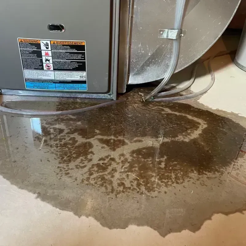 Appliance Leak Cleanup in Lincolnwood, IL